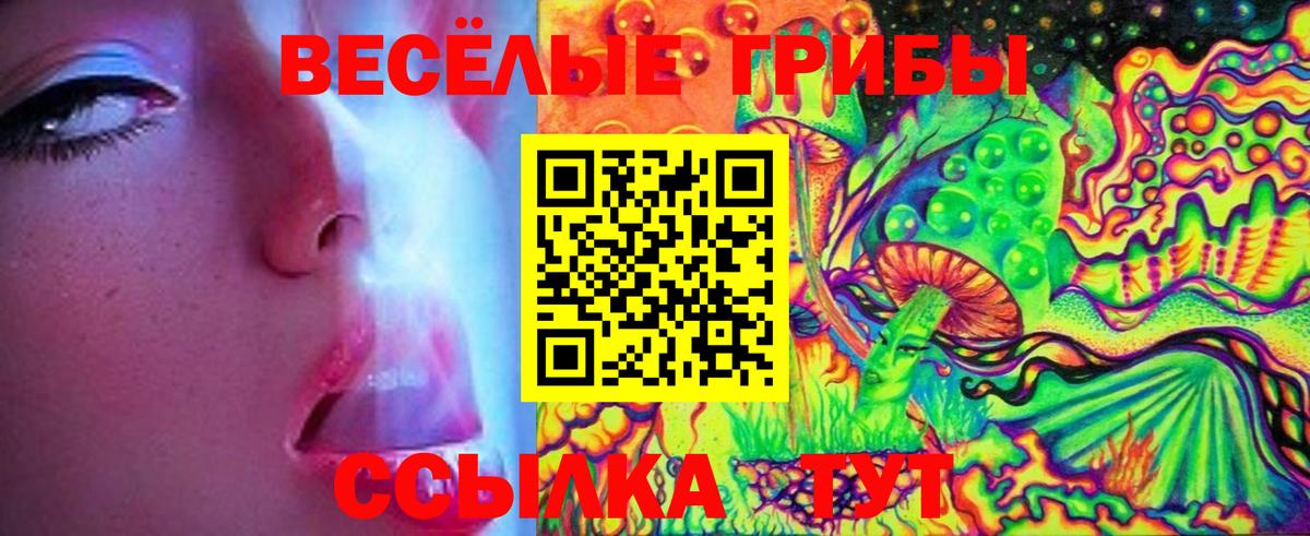 Касимов  Псилоцибиновые грибы мицелий  Галлюциногенные грибы Psilocybe  Вход с VPN 